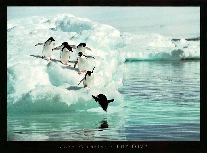 The Dive by John Giustina - 24 X 32 Inches - (Art Print)