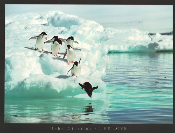 The Dive by John Giustina - 24 X 32 Inches (Art Print)