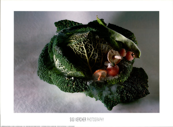 Hidden French Bean by Sigi Kercher - 18 X 25 Inches (Art Print)