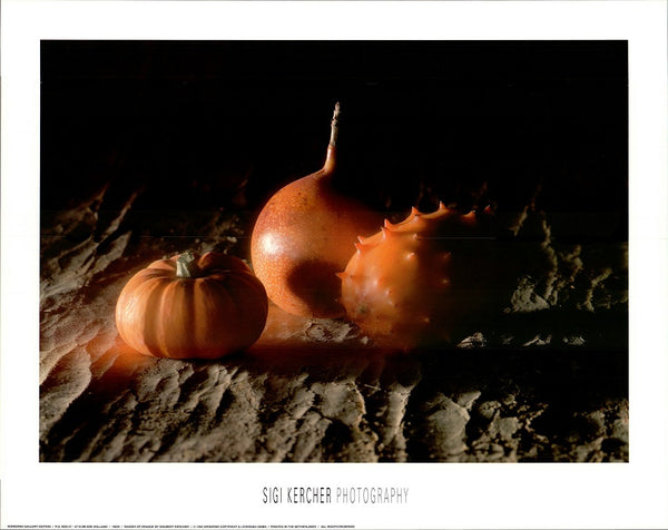 Shades of Orange by Sigi Kercher - 16 X 20 Inches (Art Print)