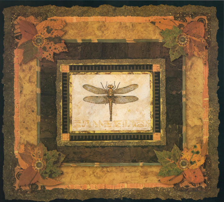 Dragonfly II by Pamela Gladding - 12 X 16 Inches (Art Print)