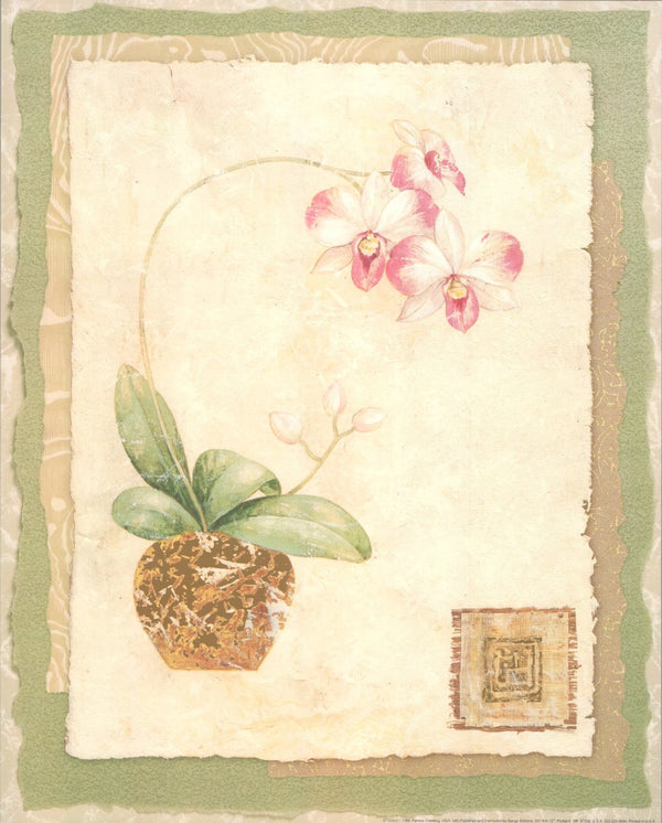 Orchid I by Pamela Gladding - 16 X 20 Inches (Art Print)