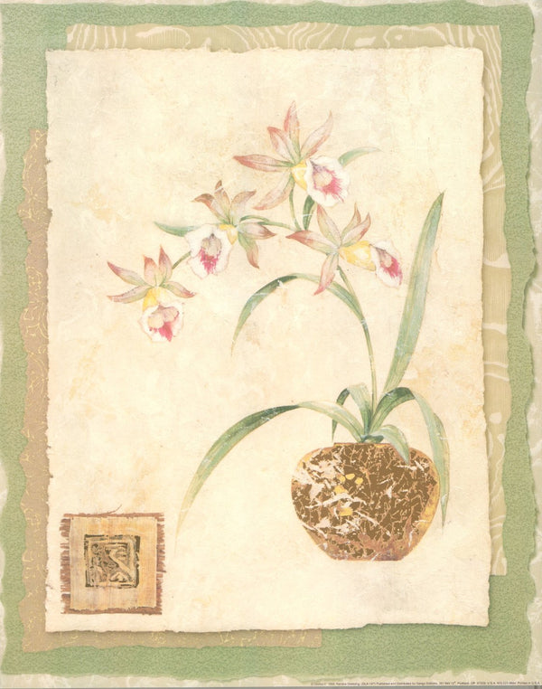 Orchid II by Pamela Gladding - 16 X 20 Inches (Art Print) 