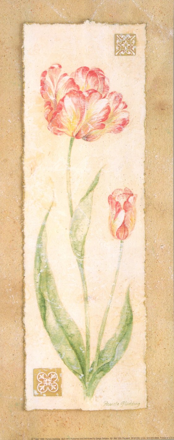 Tulip by Pamela Gladding - 8 X 20 Inches (Art Print) 