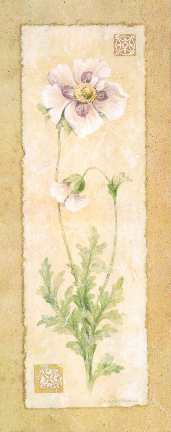 Poppy by Pamela Gladding - 8 X 20 Inches (Art Print)