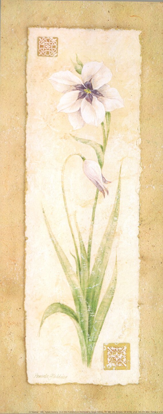 Gladiola by Pamela Gladding - 8 X 20 Inches (Art Print) 