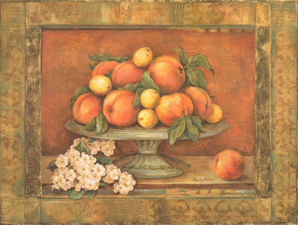 Florentine Peach by Pamela Gladding - 18 X 25 Inches (Art Print)