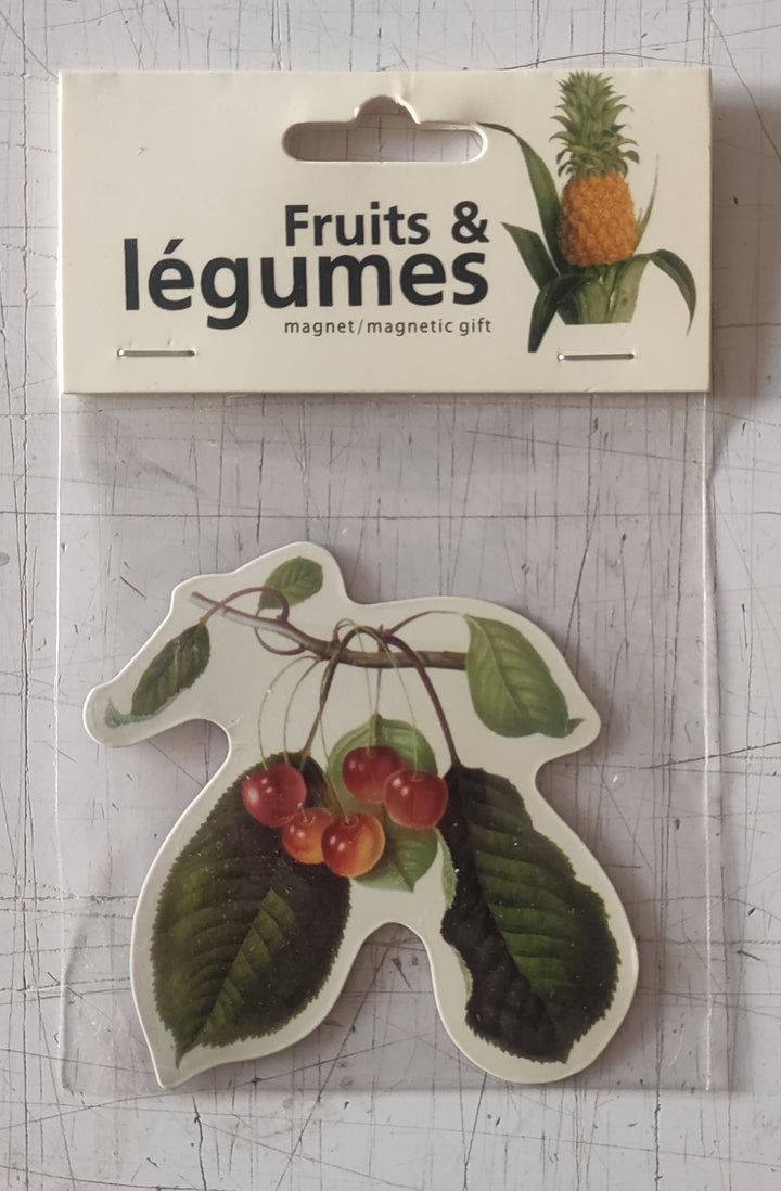 Fruits and Vegetables (Magnetic Gift)