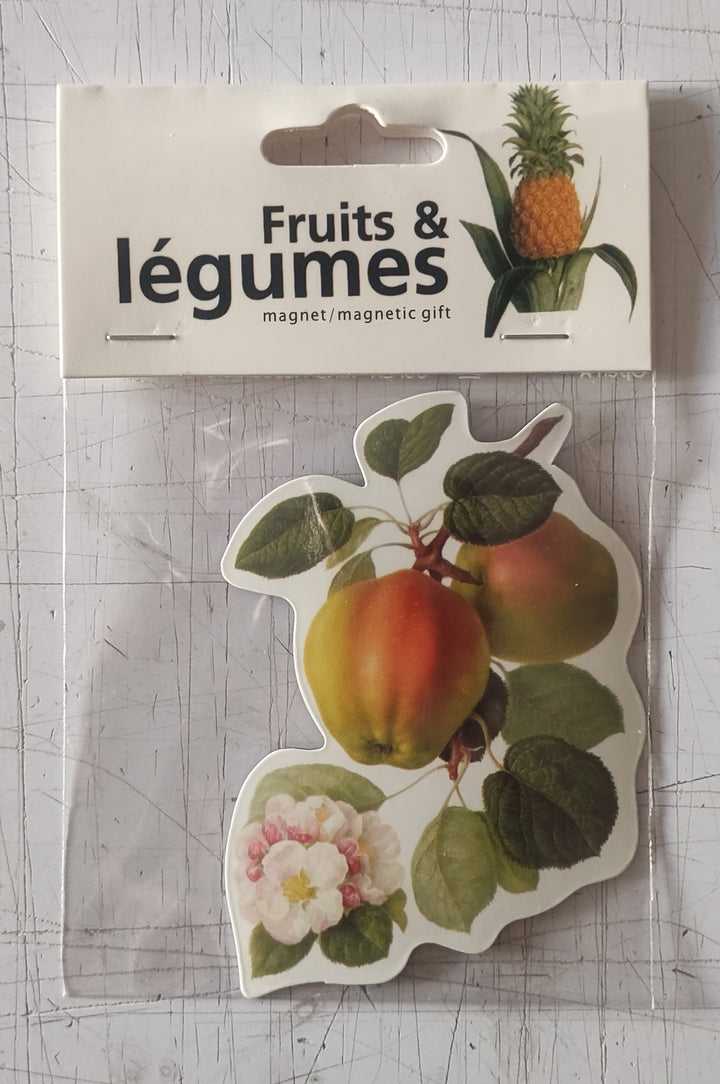 Fruits and Vegetables (Magnetic Gift)