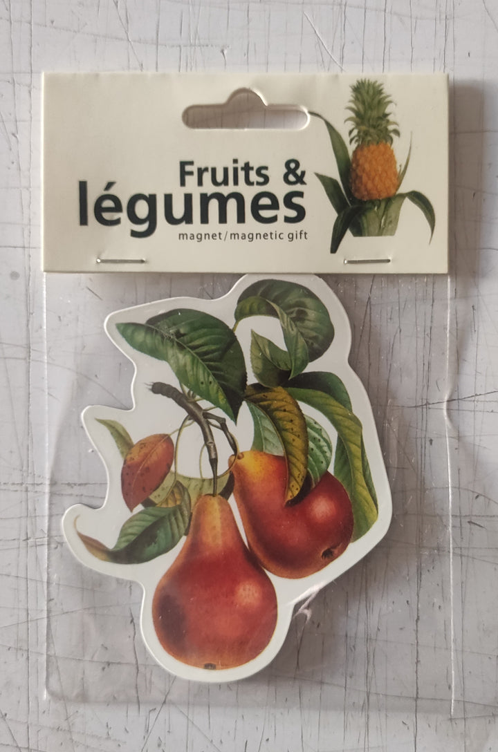 Fruits and Vegetables (Magnetic Gift)