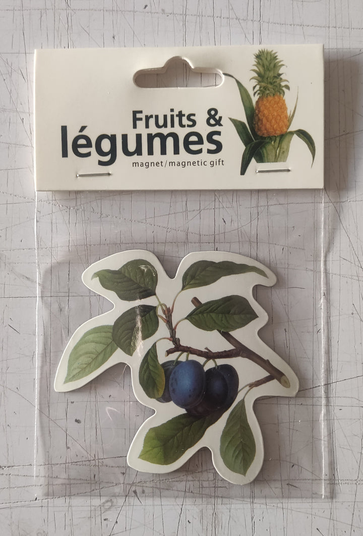 Fruits and Vegetables (Magnetic Gift)