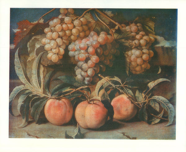 Fruits by Jan Deker - 13 X 16 Inches (Art Print)
