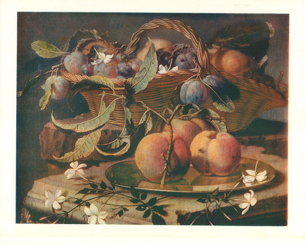 Fruits by Jan Deker - 13 X 16 Inches (Art Print)