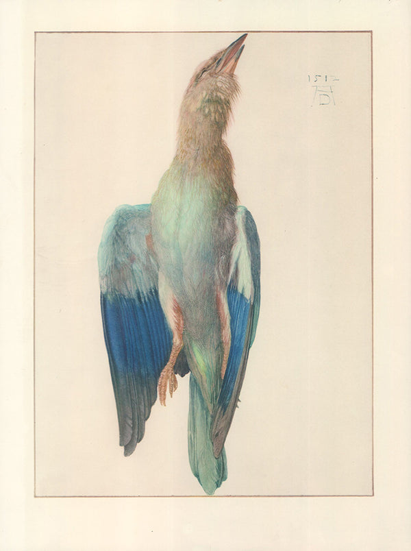 Blue Roller, 1512 by Albrecht Durer - 10 X 13 Inches (Offset Lithograph Fine Art Print)