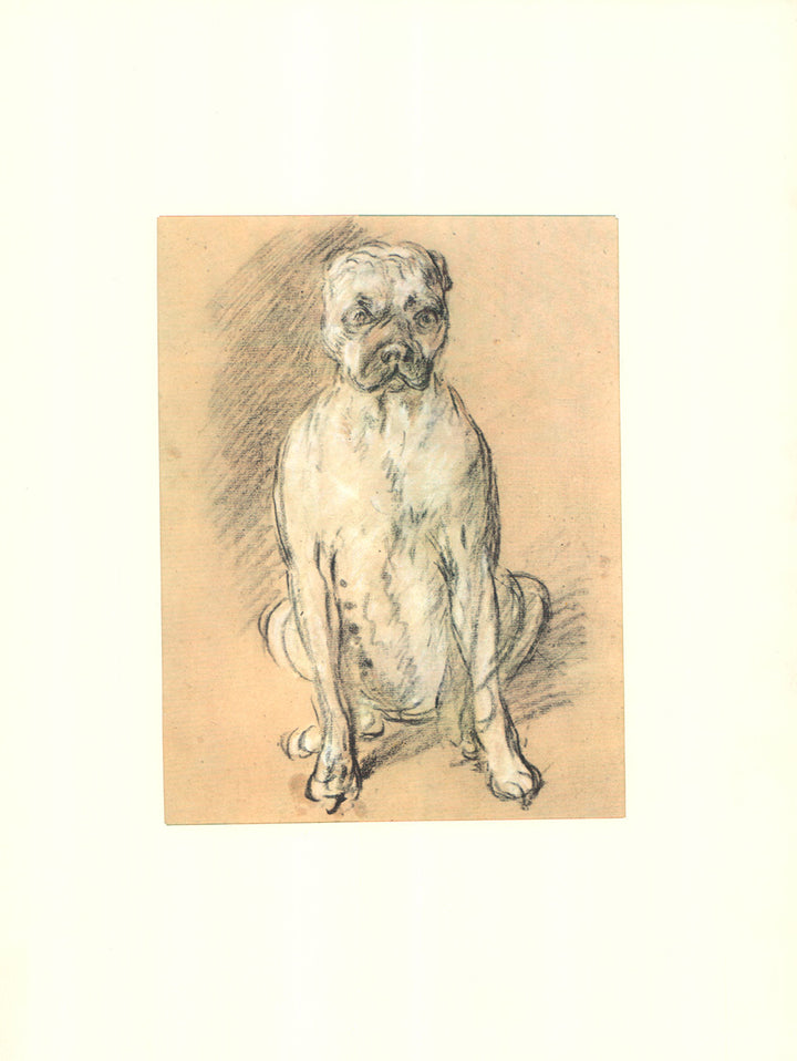 Study of a Bulldog by Thomas Gainsborough - 14 X 18 Inches (Offset Lithograph with Matte Fine Art Print)