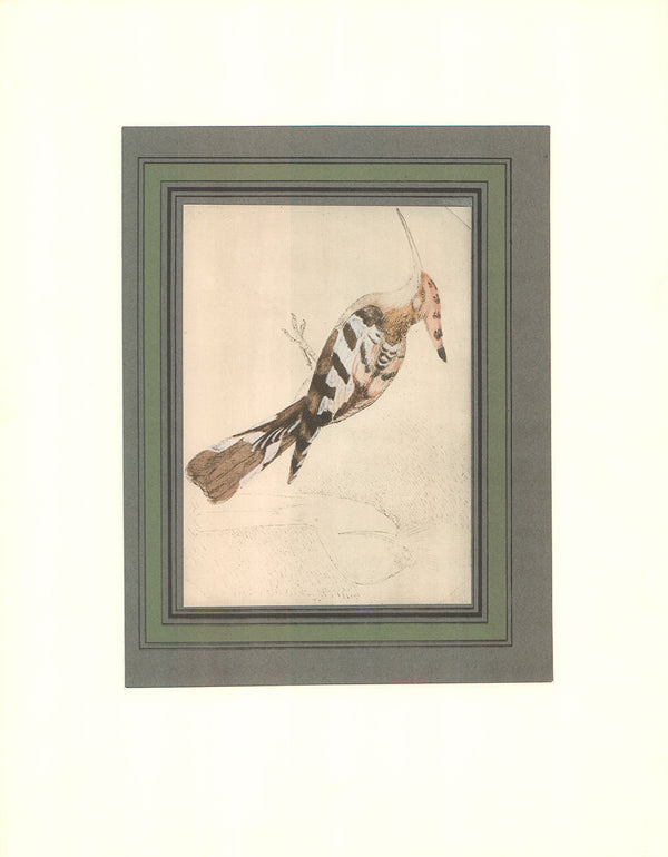 Woodpeckers by Antonio Pisanello - 14 X 18 Inches (Offset Lithograph with Matte Fine Art Print)