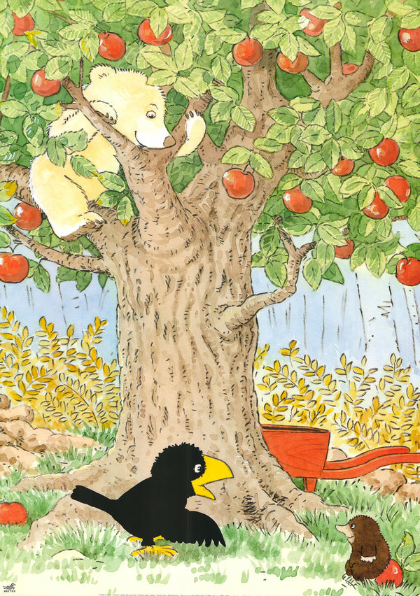 Flocon Picks Apples by Frederic Stehr - 20 X 28 Inches (Art Print)