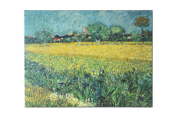 Field with Irises Near Arles, 1888 by Vincent Van Gogh - 23 X 31 Inches (Canvas Ready to Hang)
