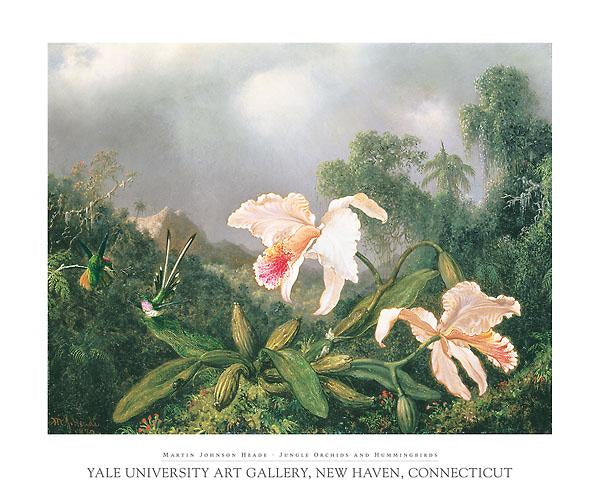 Jungle Orchids and Hummingbirds by Martin Johnson Heade - 30 X 35 Inches - (Art Print).