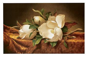 Magnolias on Gold Velvet Cloth by Martin Johnson Heade - 16 X 23 Inches (Art Print)
