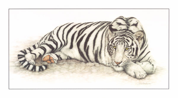 Siberian Tiger by Jan Henderson - 20 X 36 Inches (Art Print)