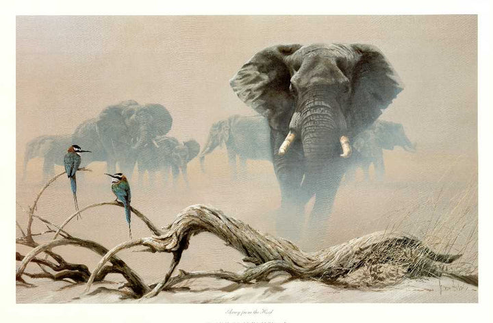 Away from the Herd by Spencer Hodge - 24 X 36 Inches (Art Print)