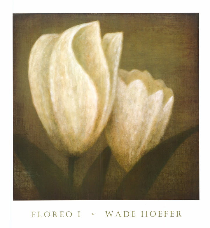 Floreo I by Wade Hoefer - 28 X 30 Inches (Art Print)