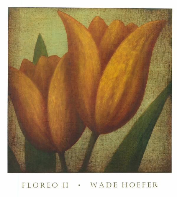 Floreo II by Wade Hoefer - 28 X 30 Inches (Art Print)