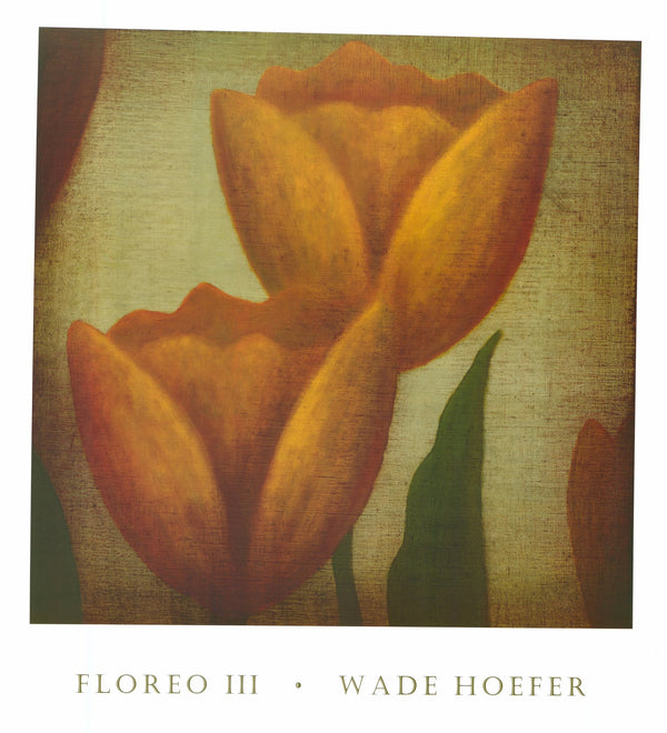 Floreo III by Wade Hoefer - 28 X 30 Inches (Art Print)