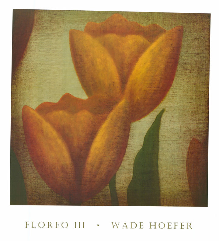 Floreo III by Wade Hoefer - 28 X 30 Inches (Art Print)