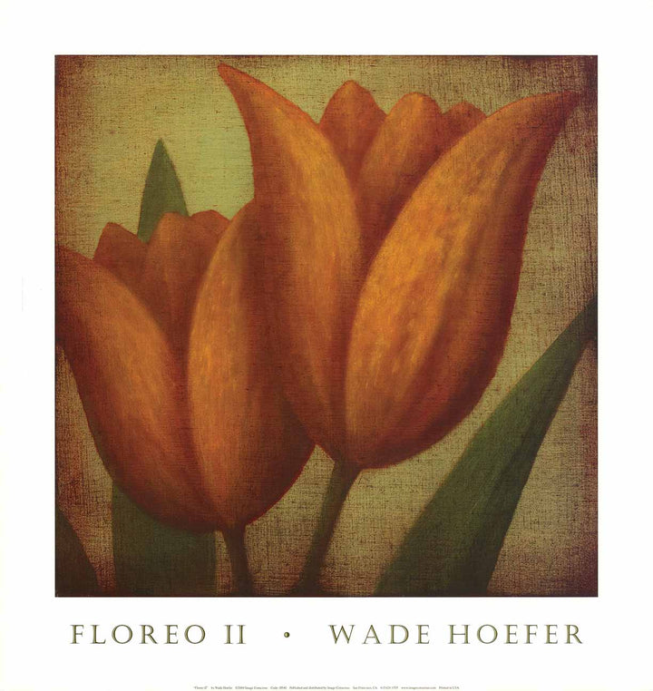 Floreo II by Wade Hoefer - 17 X 18 Inches (Art Print)