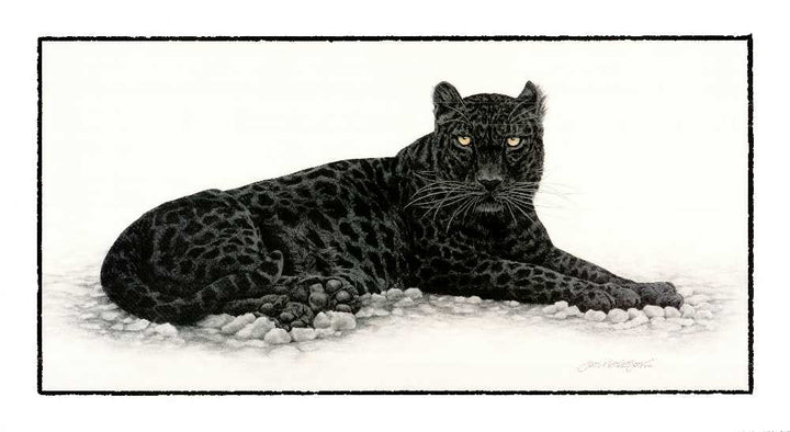 Black Panther by Jan Henderson - 20 X 36 Inches (Art Print)