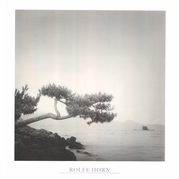 Two Branched Pine, Nakano Umi, Japan by Rolfe Horn - 24 X 24 Inches (Art Print)
