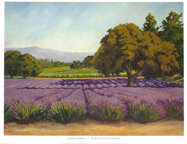Lavender Fields by Susan Hoehn - 27 X 34 Inches (Art Print)