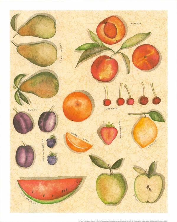 Fruits by Jenny Hannah - 16 X 20 Inches (Art Print)