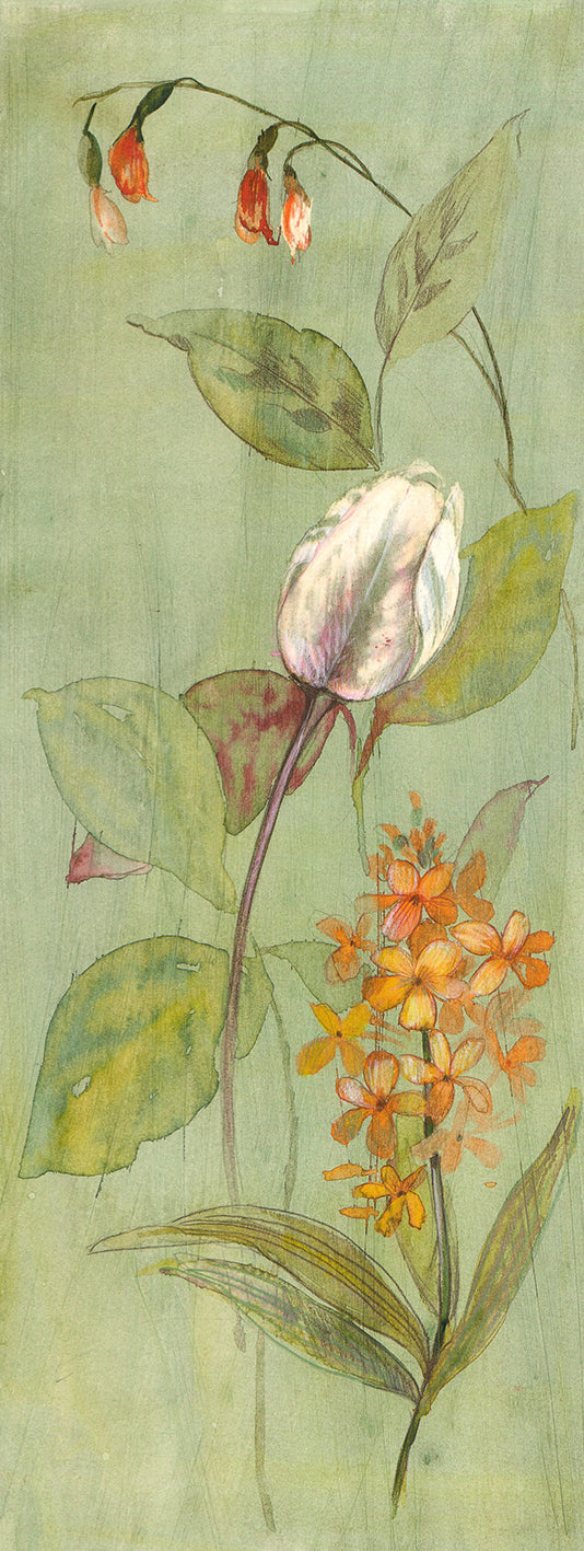 Verdant Tulip, 2000 by Paul Hargittai - 8 X 20 Inches (Art Print)