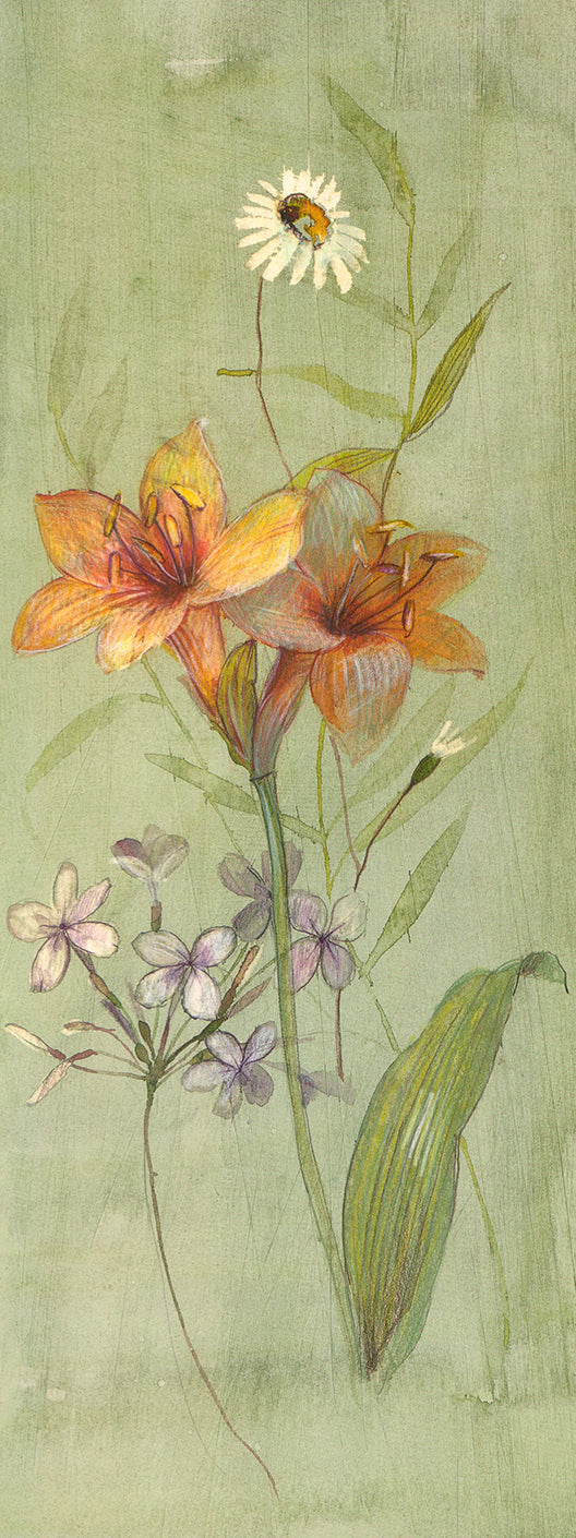 Verdant Lily, 2000 by Paul Hargittai - 8 X 20 Inches (Art Print)