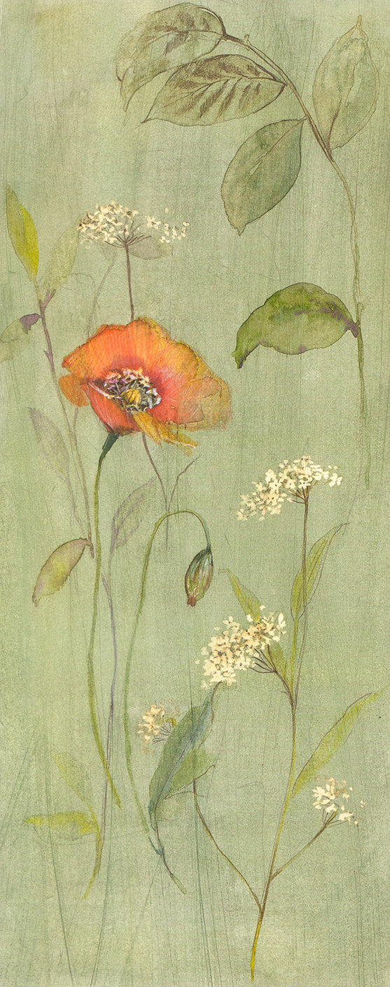 Verdant Poppy, 2000 by Paul Hargittai - 8 X 20 Inches (Art Print)