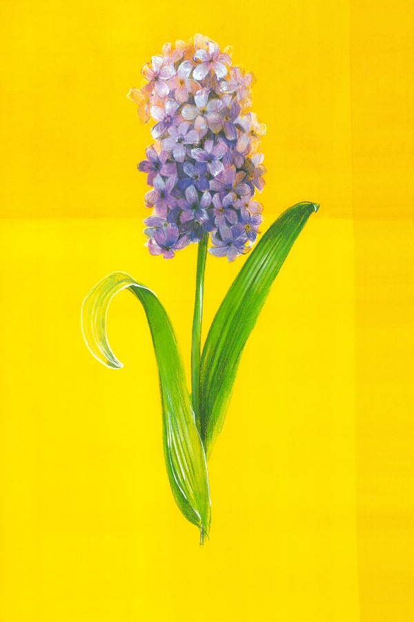 Flower on Yellow, 1999 by Paul Hargittai - 16 X 24 Inches (Art Print)