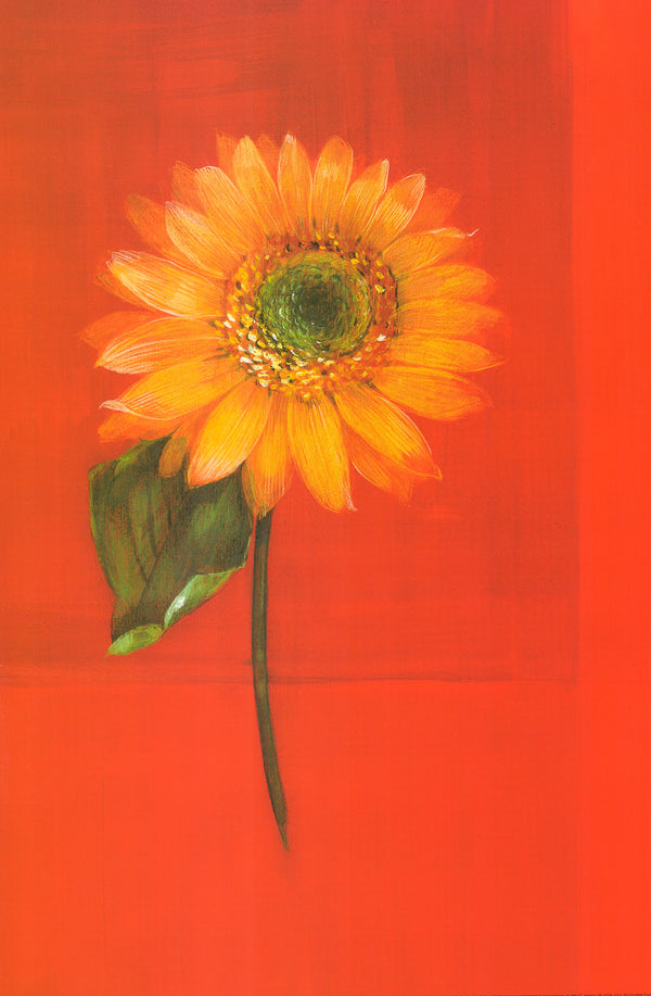 Flower on Red, 1999 by Paul Hargittai - 16 X 24 Inches (Art Print)