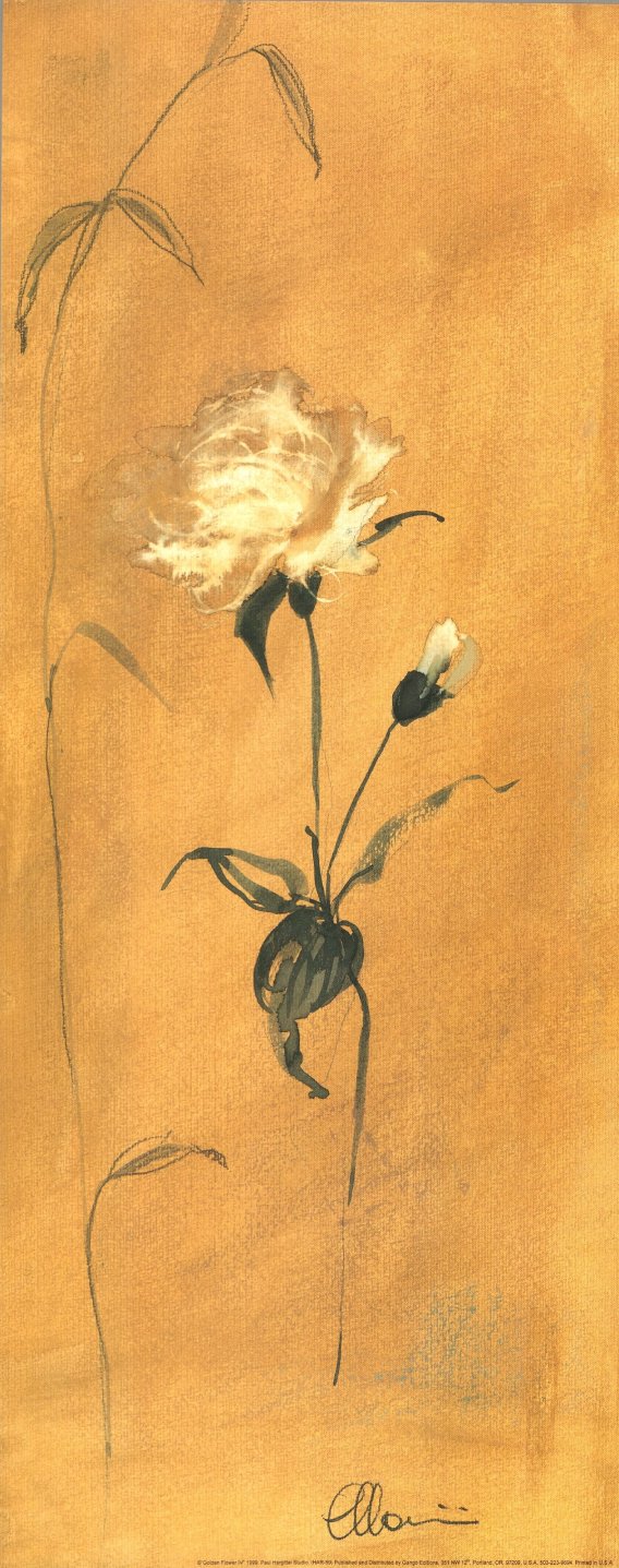 Golden Flower IV by Paul Hargittai - 8 X 20 Inches (Art Print) 
