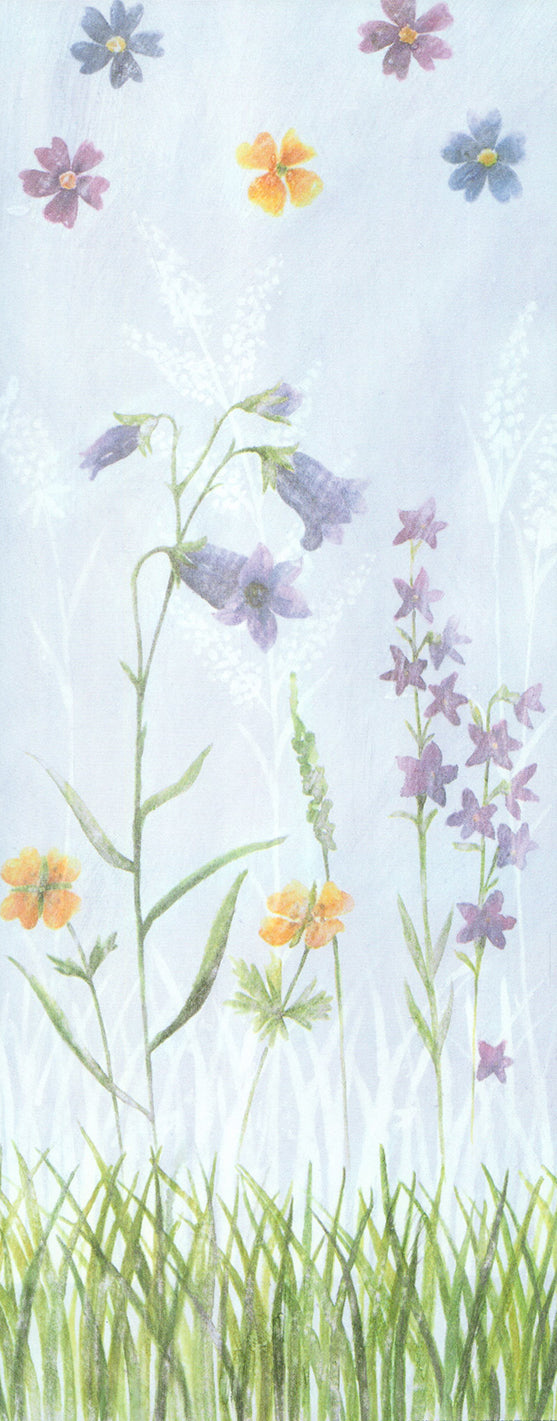 Backyard Bloom IV by David Hedley - 8 X 20 Inches (Art Print)