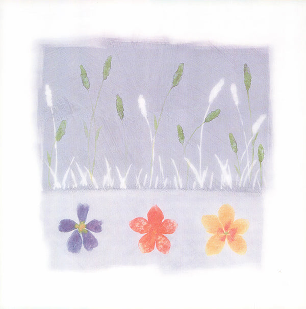 Flower Box II, 2000 by David Hedley - 12 X 12 Inches (Art Print)