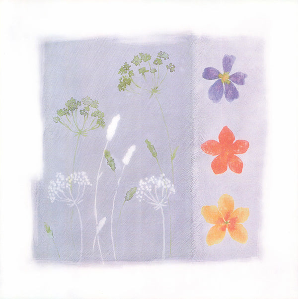Flower Box III, 2000 by David Hedley - 12 X 12 Inches (Art Print)