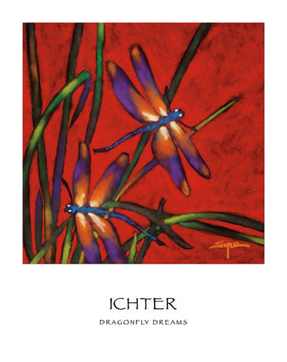 Dragonfly Dreams by R. John Ichter - 19 X 24 Inches (Art Print)