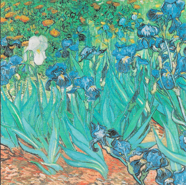Irises by Vincent van Gogh - 6 X 6 Inches (10 Postcards)