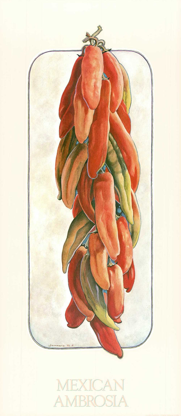Mexican Ambrosia by Lucija Jovanovic - 12 X 28 Inches (Art Print)