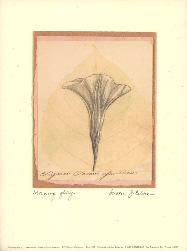 Morning Glory by Susan Jokelson - 6 X 8 Inches (Art Print)
