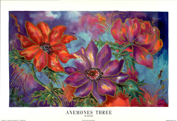 Anemones Three by Jan Law - 24 X 36 Inches (Art Print)