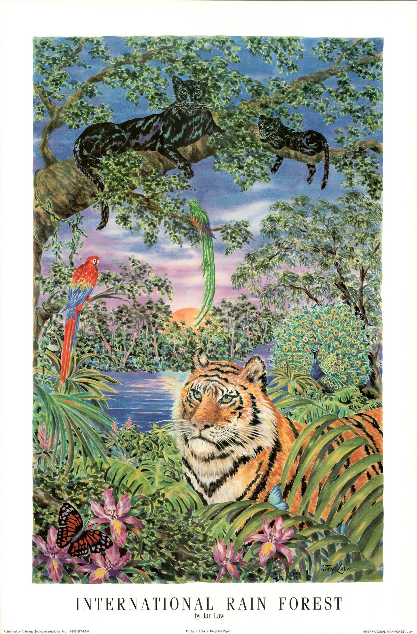 International Rain Forest by Jan Law - 24 X 36 Inches (Art Print ...